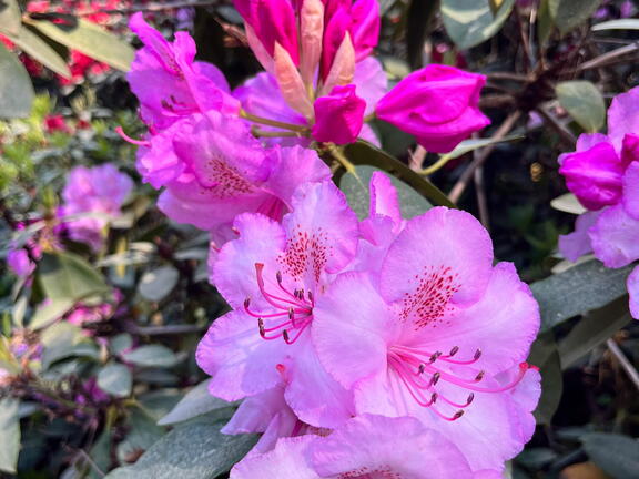 23-06-03 17-23-08 5825